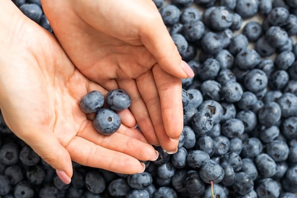 Foods That Have Shown To Help Limit Arthritis Pain Naturally