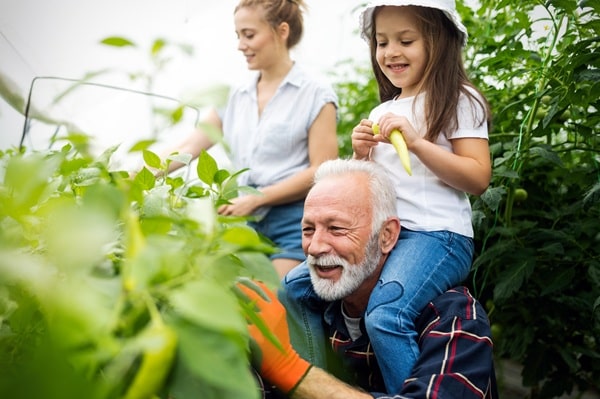 Top Ways To Bond With Modern Grandkids