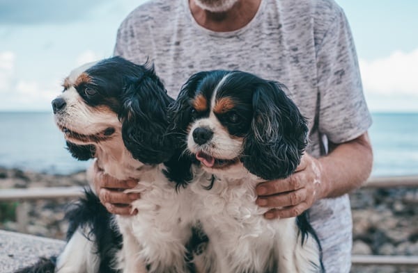 The 7 Jobs Seniors Can Do And Still Have Time To Enjoy Retirement